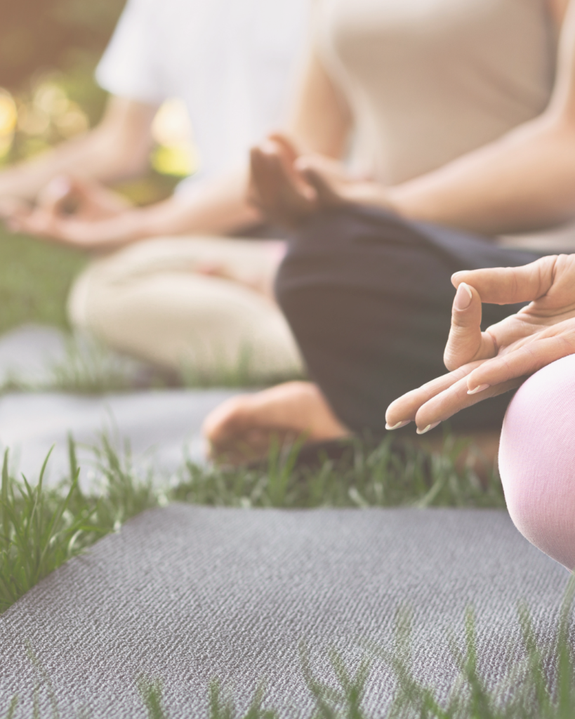 design sem nome (4) design sem nome (4)